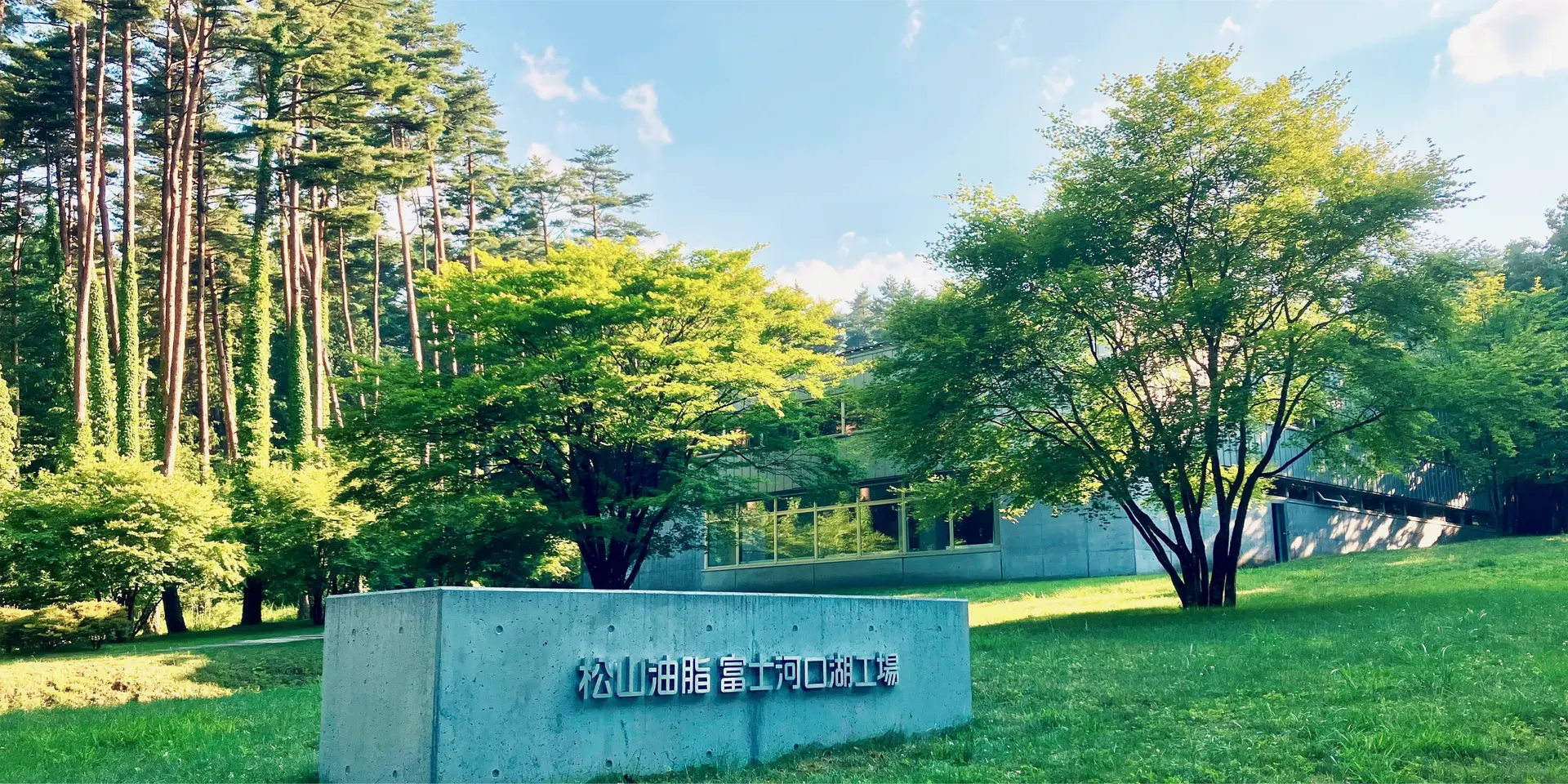 松山油脂株式会社の写真