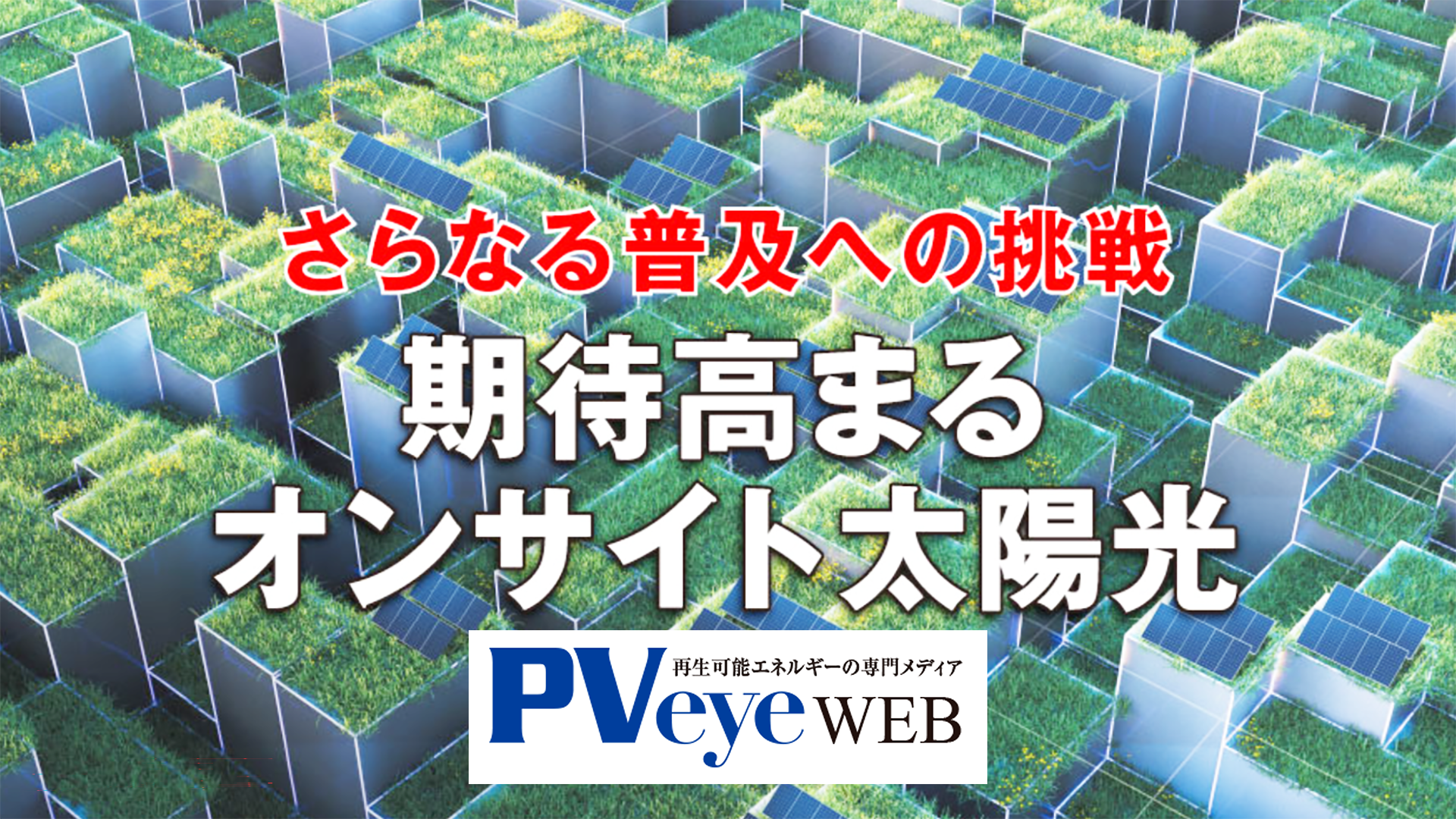 業界専門誌「PVeye」が、当社取締役のインタビュー記事を掲載のイメージ画像